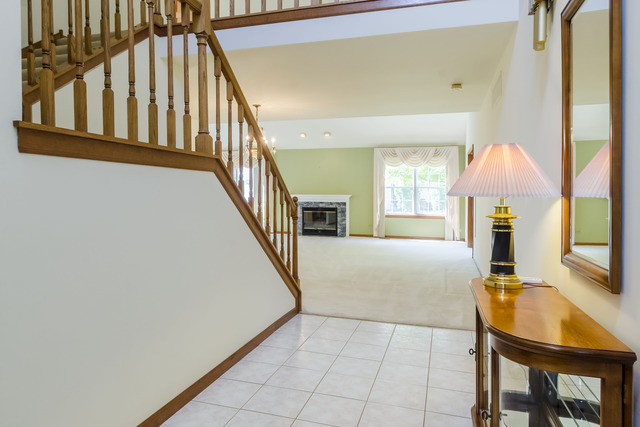 21041 W Silverleaf Ct, Plainfield, IL 60544 photo 2
