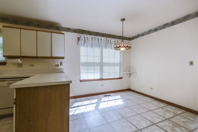 21041 W Silverleaf Ct, Plainfield, IL 60544 photo 11