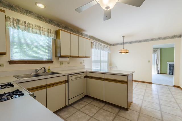 21041 W Silverleaf Ct, Plainfield, IL 60544 photo 10