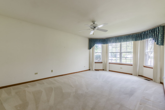 21041 W Silverleaf Ct, Plainfield, IL 60544 photo 13