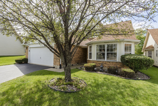 21041 W Silverleaf Ct, Plainfield, IL 60544 photo 1