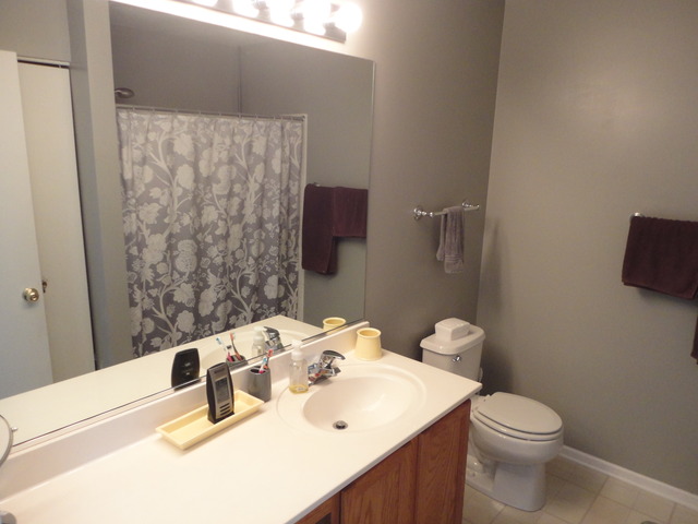 3095 Falling Waters Ln, Lindenhurst, IL 60046 photo 10
