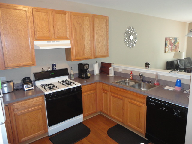 3095 Falling Waters Ln, Lindenhurst, IL 60046 photo 18
