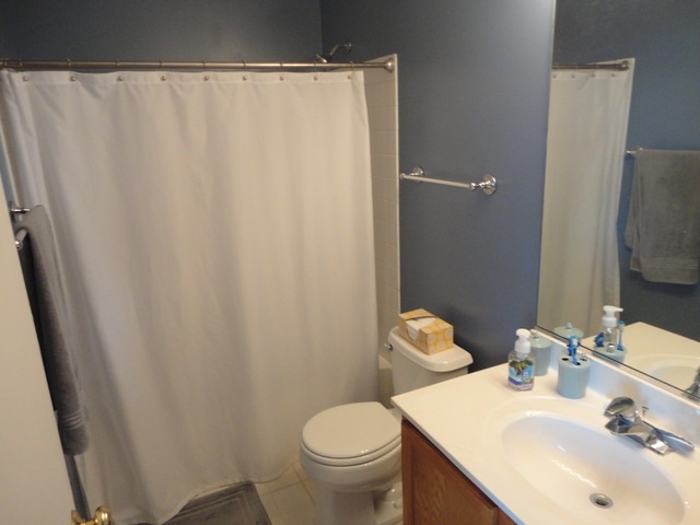 3095 Falling Waters Ln, Lindenhurst, IL 60046 photo 11