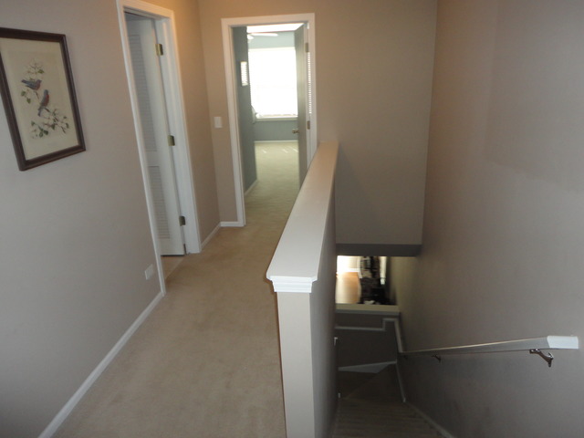 3095 Falling Waters Ln, Lindenhurst, IL 60046 photo 8