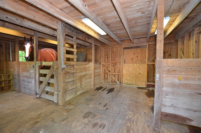 33 W599 Mare Barn Ln, Wayne, IL 60184 photo 24