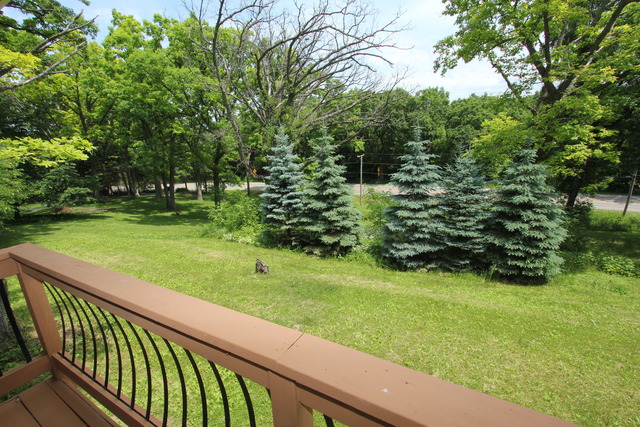 911 S River Rd, Mchenry, IL 60051 photo 20