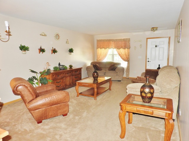 6416 Denali Ridge Dr, Plainfield, IL 60586 photo 4