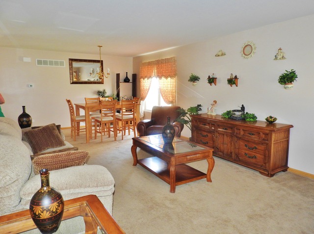 6416 Denali Ridge Dr, Plainfield, IL 60586 photo 3