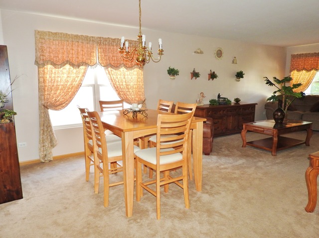 6416 Denali Ridge Dr, Plainfield, IL 60586 photo 5