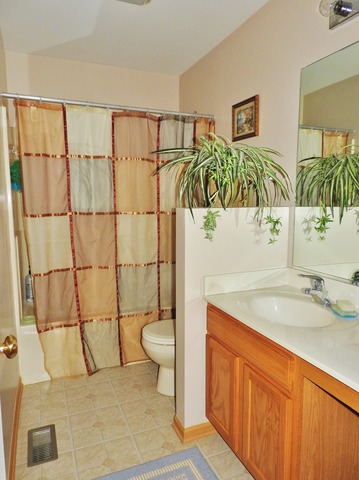 6416 Denali Ridge Dr, Plainfield, IL 60586 photo 22