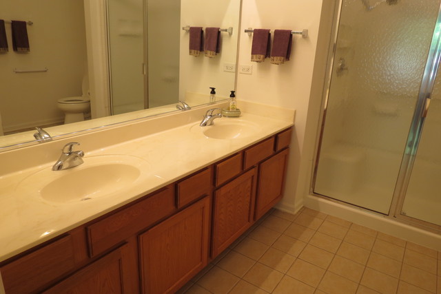 992 Oak Ridge Blvd, Elgin, IL 60120 photo 21