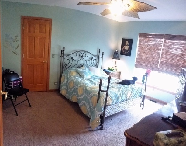 640 Brookside Ave, Algonquin, IL 60102 photo 13