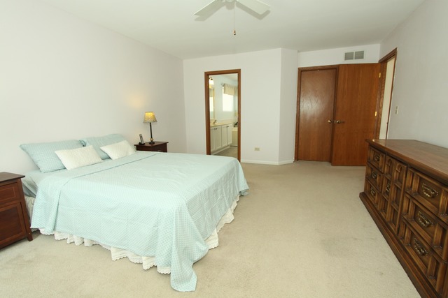 5213 Kingsbury Estates Dr, Plainfield, IL 60586 photo 10