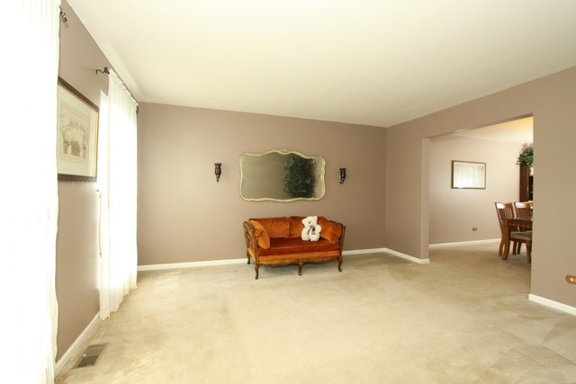 5213 Kingsbury Estates Dr, Plainfield, IL 60586 photo 3