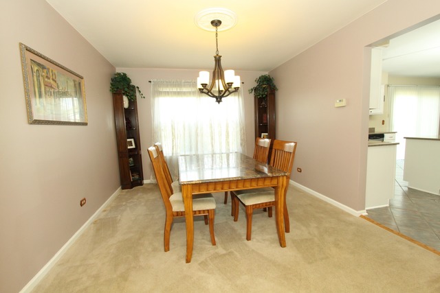 5213 Kingsbury Estates Dr, Plainfield, IL 60586 photo 4