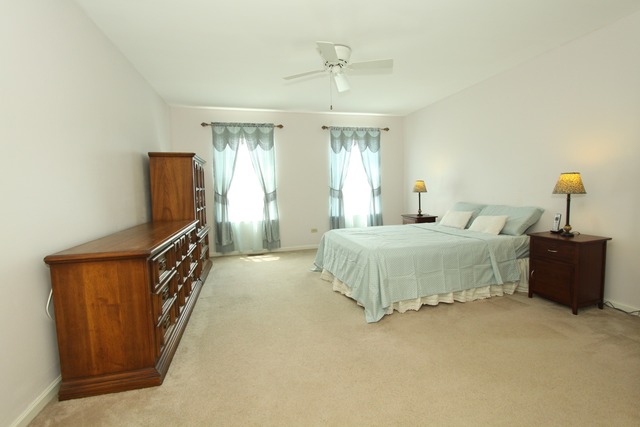 5213 Kingsbury Estates Dr, Plainfield, IL 60586 photo 9