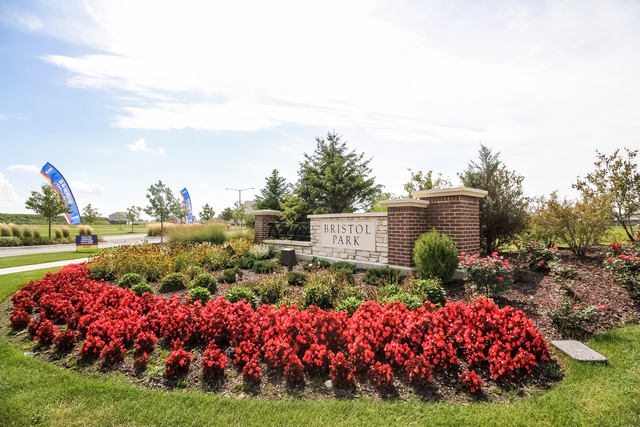 2089 Stapleton Rd, New Lenox, IL 60451 photo 16