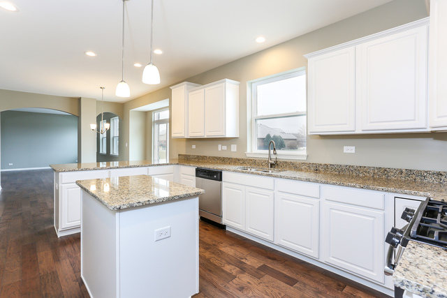 2089 Stapleton Rd, New Lenox, IL 60451 photo 4