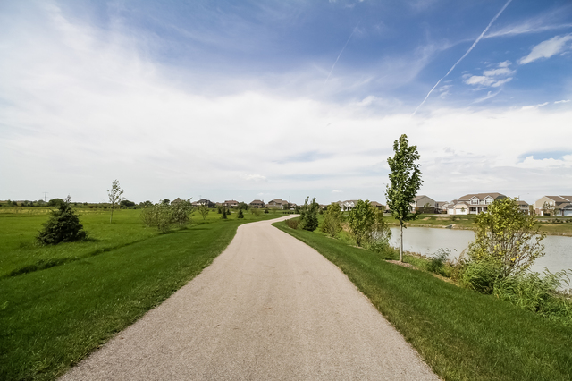 2089 Stapleton Rd, New Lenox, IL 60451 photo 20