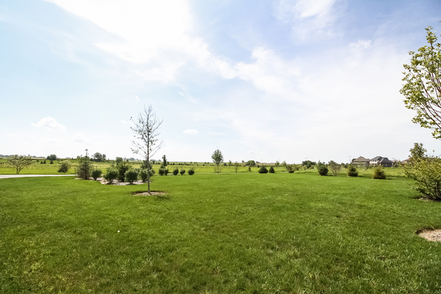2089 Stapleton Rd, New Lenox, IL 60451 photo 22