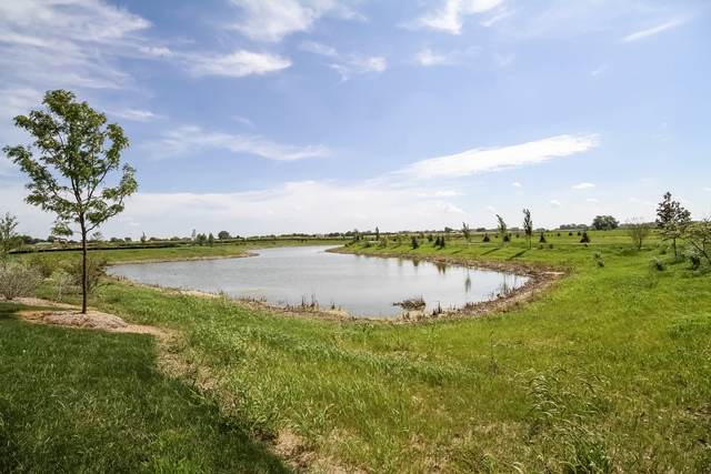 2089 Stapleton Rd, New Lenox, IL 60451 photo 21