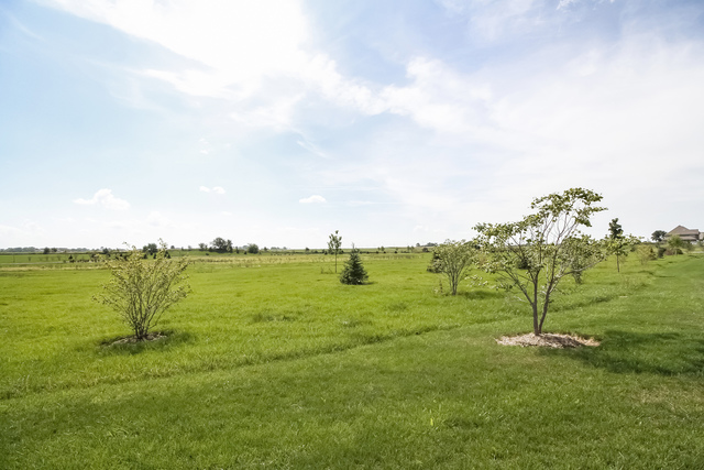 2089 Stapleton Rd, New Lenox, IL 60451 photo 23