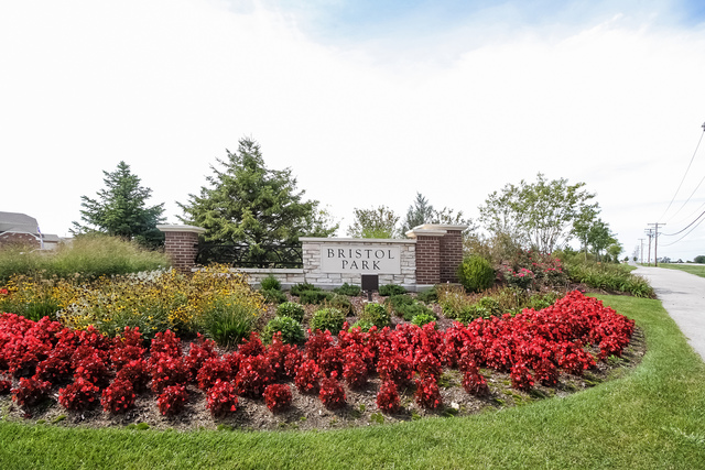 2089 Stapleton Rd, New Lenox, IL 60451 photo 15