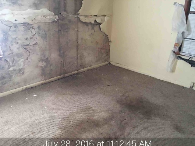 15616 Vine Ave, Harvey, IL 60426 photo 7