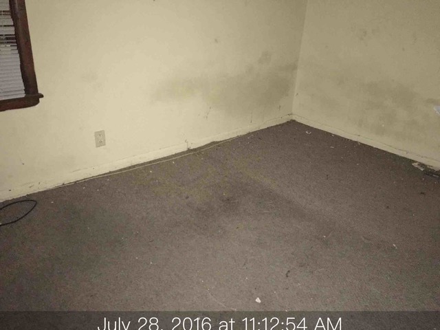 15616 Vine Ave, Harvey, IL 60426 photo 8