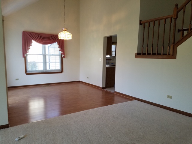 21074 W Hazelnut Ln, Plainfield, IL 60544 photo 4