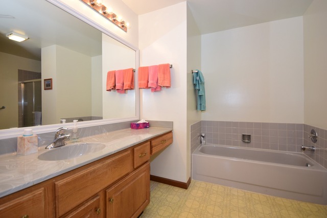 21074 W Hazelnut Ln, Plainfield, IL 60544 photo 9
