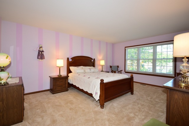 21074 W Hazelnut Ln, Plainfield, IL 60544 photo 7