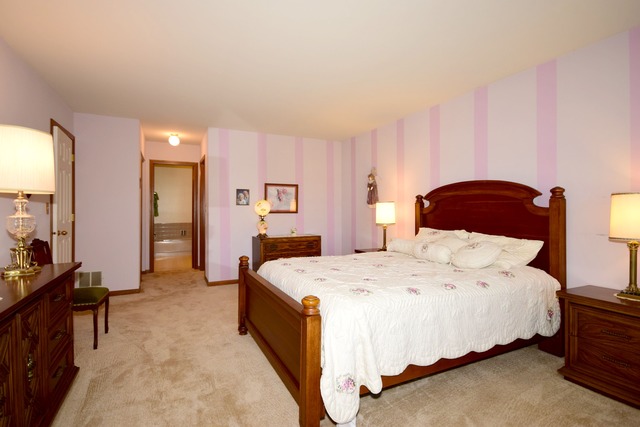 21074 W Hazelnut Ln, Plainfield, IL 60544 photo 8