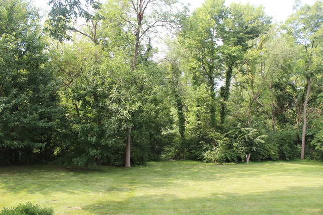 1636 Creek Dr, Morris, IL 60450 photo 23