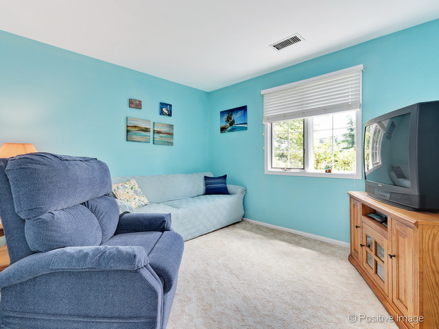 205 Windsor Ln #C, Willowbrook, IL 60527 photo 18