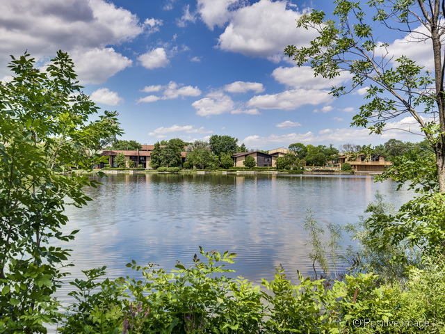 205 Windsor Ln #C, Willowbrook, IL 60527 photo 25