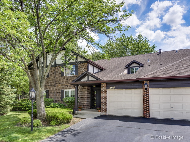 205 Windsor Ln #C, Willowbrook, IL 60527 photo 1
