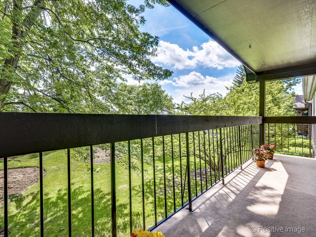 205 Windsor Ln #C, Willowbrook, IL 60527 photo 22
