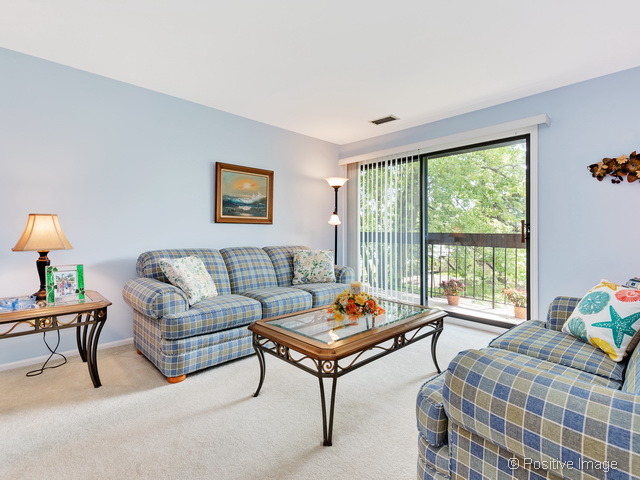 205 Windsor Ln #C, Willowbrook, IL 60527 photo 6