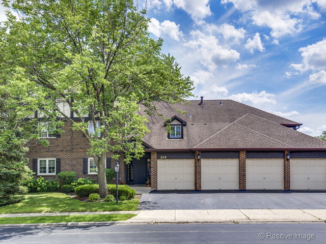 205 Windsor Ln #C, Willowbrook, IL 60527 photo 3