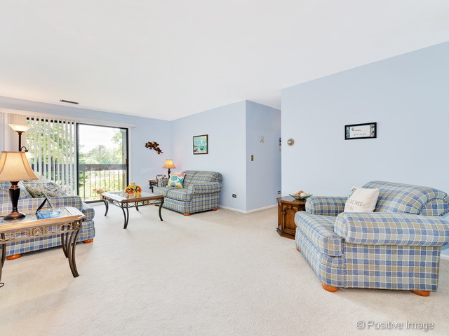 205 Windsor Ln #C, Willowbrook, IL 60527 photo 5
