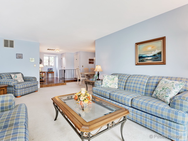 205 Windsor Ln #C, Willowbrook, IL 60527 photo 7