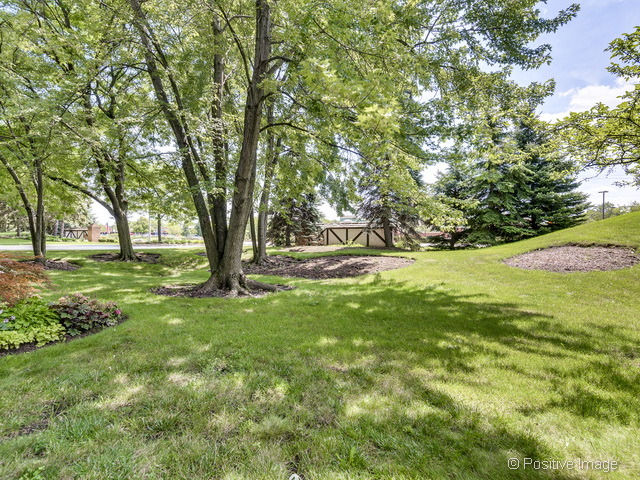 205 Windsor Ln #C, Willowbrook, IL 60527 photo 23