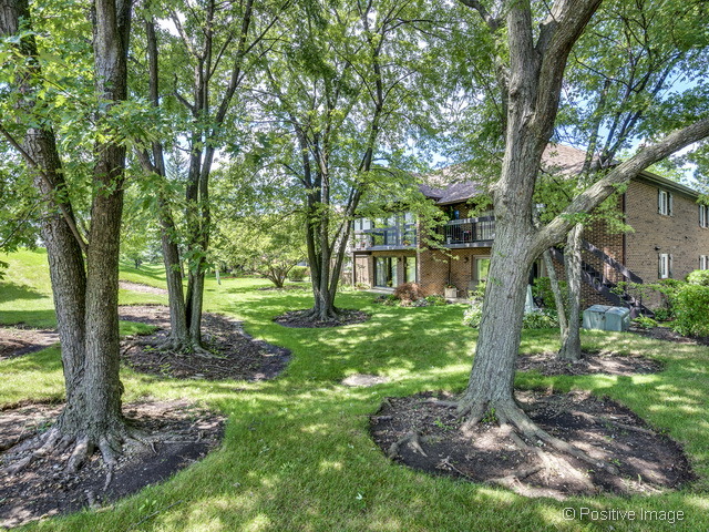 205 Windsor Ln #C, Willowbrook, IL 60527 photo 21