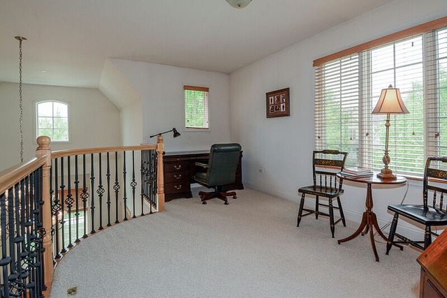 1704 Elyse Ln, Naperville, IL 60565 photo 12