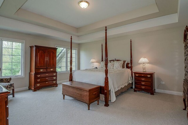1704 Elyse Ln, Naperville, IL 60565 photo 20