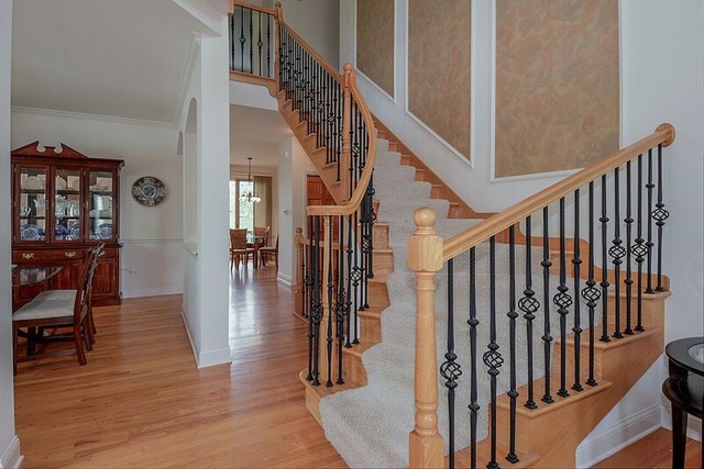 1704 Elyse Ln, Naperville, IL 60565 photo 3