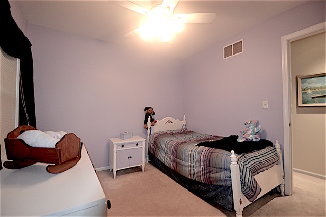 897 Paddock Dr, Carol Stream, IL 60188 photo 17