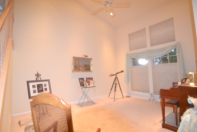 897 Paddock Dr, Carol Stream, IL 60188 photo 9